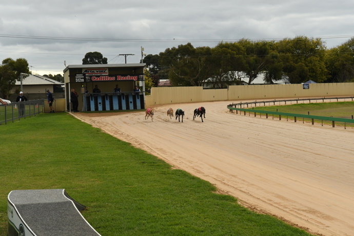  Dave goes the distance on Father’s Day - Mount Gambier Week in Review