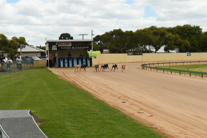 A day of doubles at The Mount - Mount Gambier Week in Review