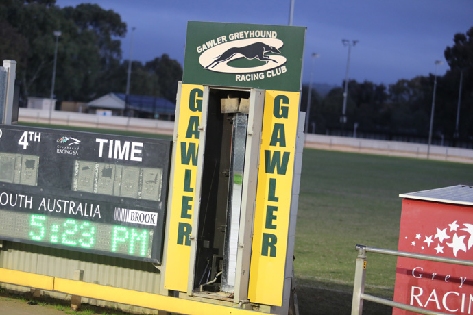 Coorong Cam Charges Away In Gawler Breeders