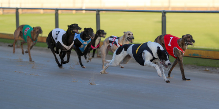 Could Be King scorches as Rawlings grabs Gawler treble