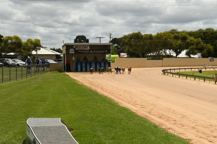 Country Cup Finalists Locked in - Mount Gambier Week in Review