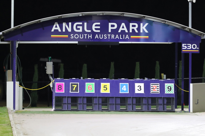 Dead-heat double on big night at Angle Park