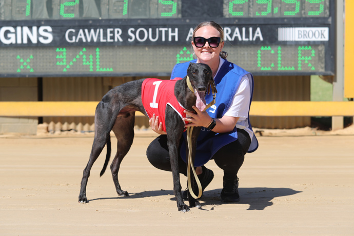 Don Turner With Two Gawler Winners Friday