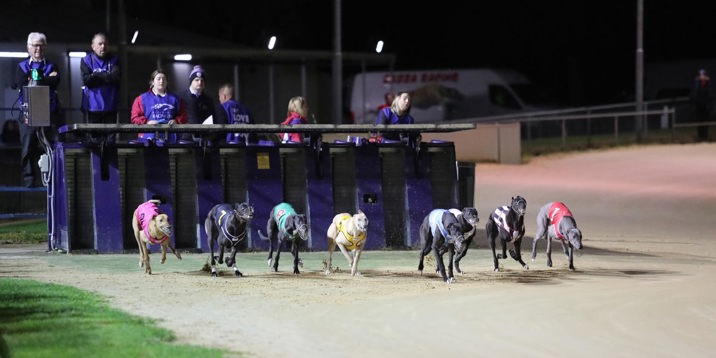 Fantastic Tommy speeds along in Gawler Produce semi