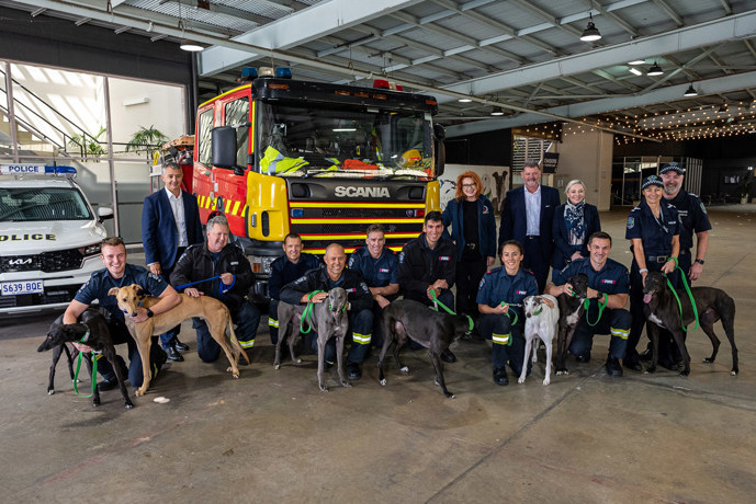 First responders given priority adoption access to Greyhounds as Pets