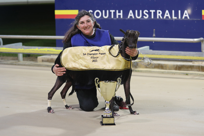 Footrot Fender springs a Champion Puppy surprise