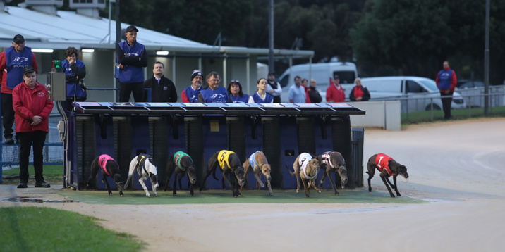 Price bags a quarter of winners at Gawler