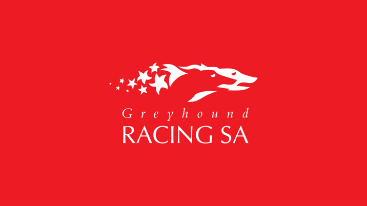 Greyhound Racing SA boosts funding for Track Injury Rebate Scheme and participant starter fees