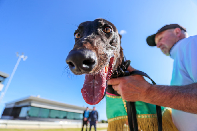 He’s On Fire claims Straight Track glory