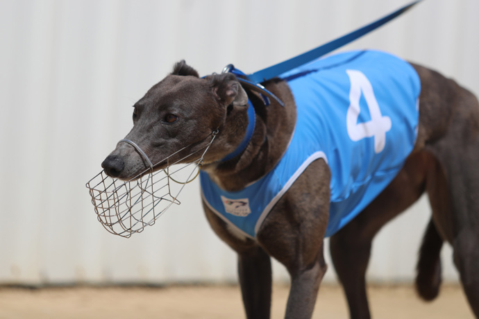 Honest Frank Gives Craig Jaensch A Murray Bridge Double