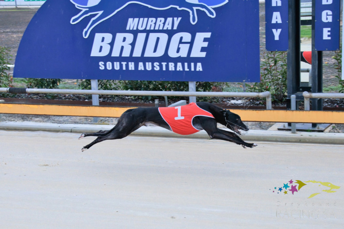 Majestic McLaren Ready for Gawler Produce Series