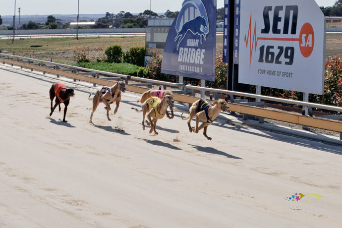 Mundy Makes It A Winning Double Up The Straight