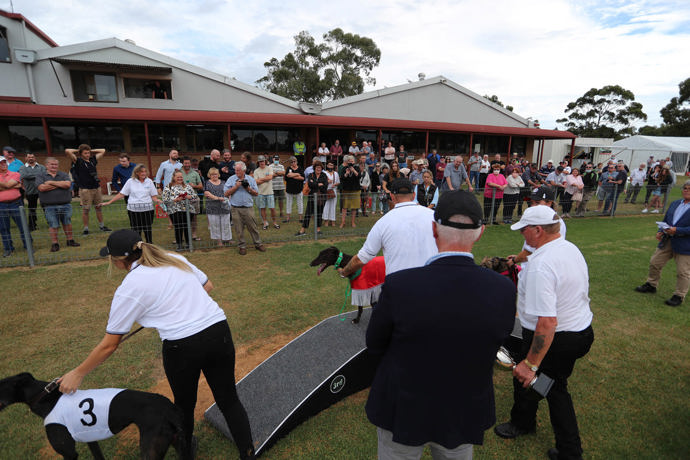 Newman Hoping To Repeat Mount Gambier Cup Glory