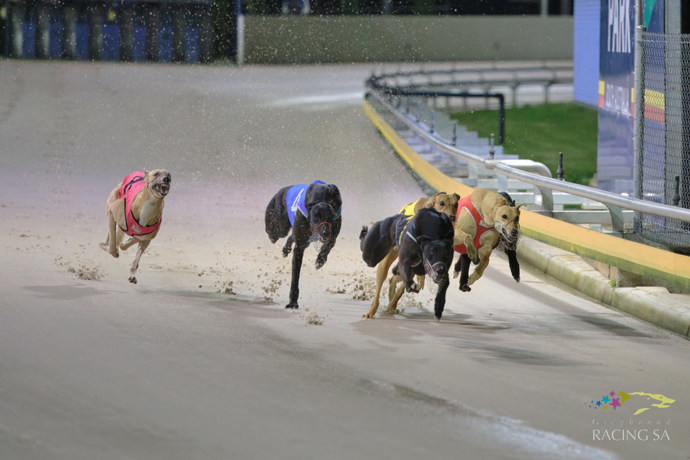 Oaks & Derby Heats kickstart Spring Carnival 