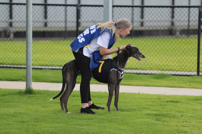 Rasmussen Lands Four Up The Straight