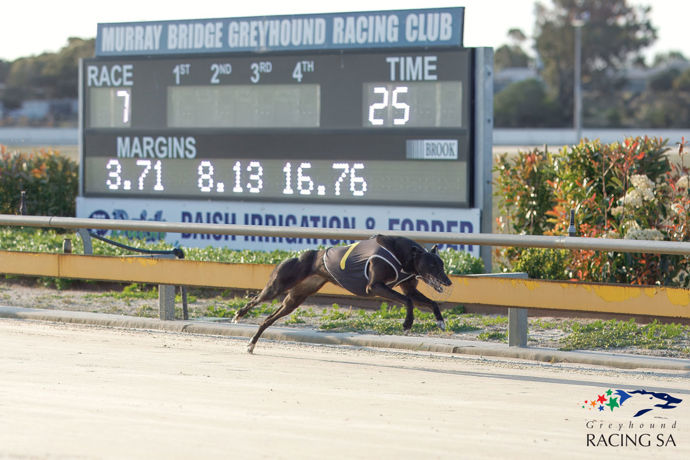 Smith’s Straight Track Special 