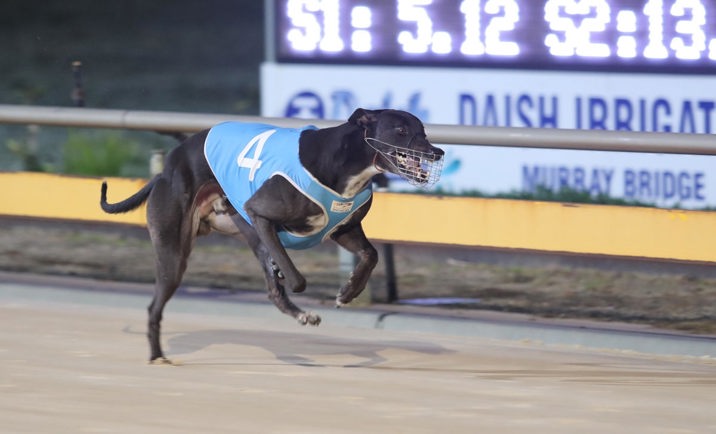 Straight track final headlines big week at Murray Bridge