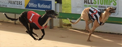 Super Sunday headlines action at Mount Gambier