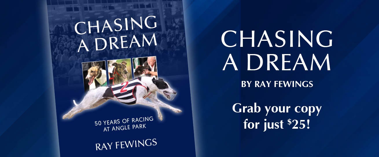 Chasing A Dream by Ray Fewings