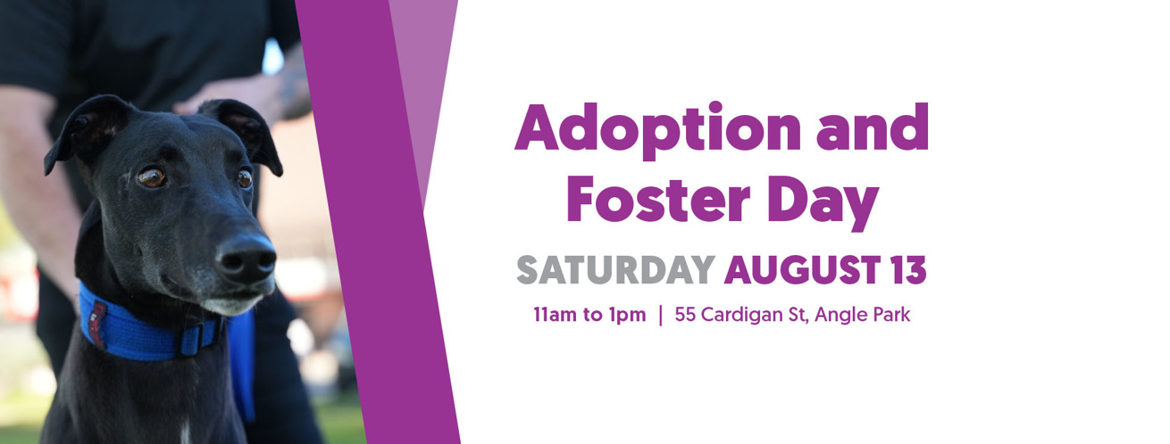 Adoption and Foster Day - August 13
