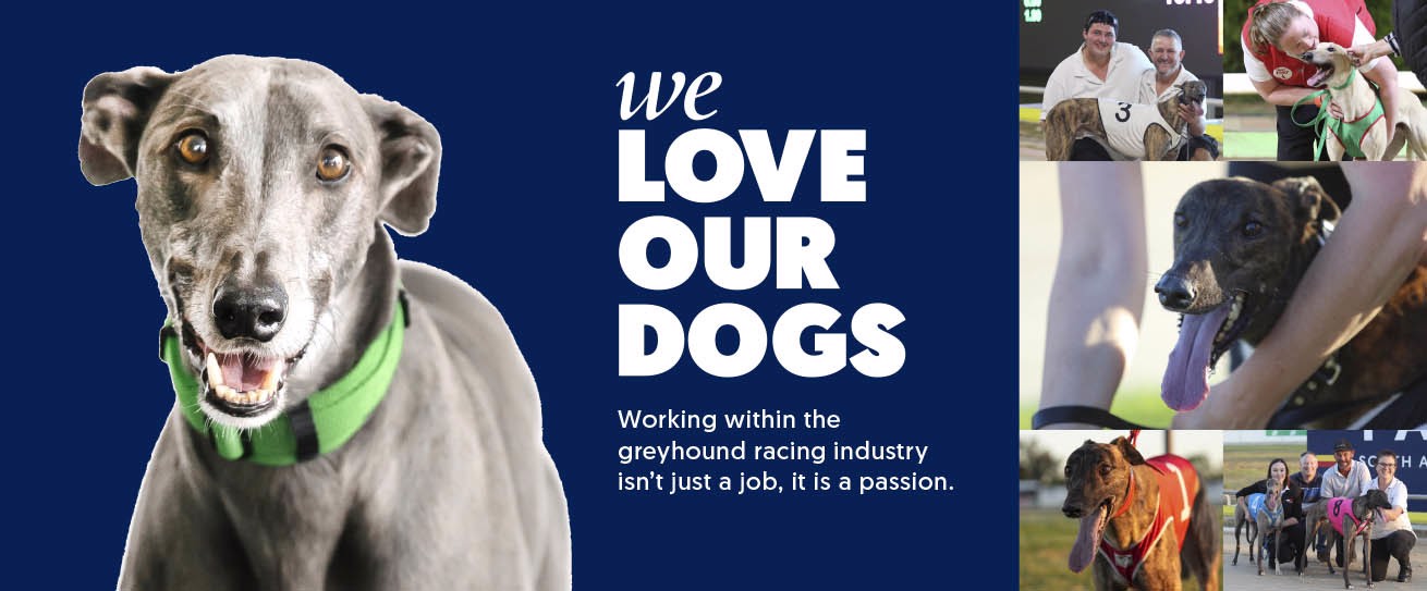 We Love Our Dogs - Greyhound Racing SA