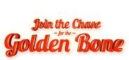 Join The Chase For the Golden Bone