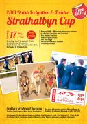 2013 DAISH IRRIGATION & FODDER STRATH CUP FINAL