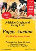 Greyhound Auction Catalogue available