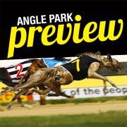 Angle Park Racing Preview - 26.1.17