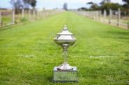 2017 Waterloo Cup to Gangalla Fury