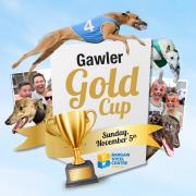 2017 Gawler Gold Cup - Box Draw