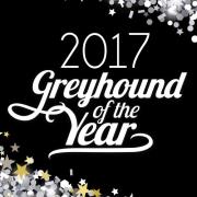2017 Greyhound of the Year Finalists
