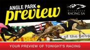 Angle Park Preview - Thursday 28th February 2019