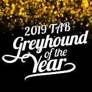 THE 2019 TAB SA GREYHOUND OF THE YEAR FINALISTS
