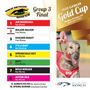 A Golden Night Ahead at the Gawler Greyhounds