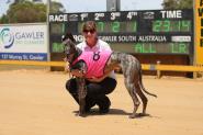 First Wednesday Meet at Gawler