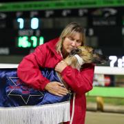 'Eastar' Match Race Series at Gawler Sunday