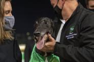 The ‘Truck’ delivers Group 1 success