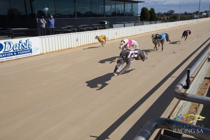 The Bridge set to shine on National Saturday