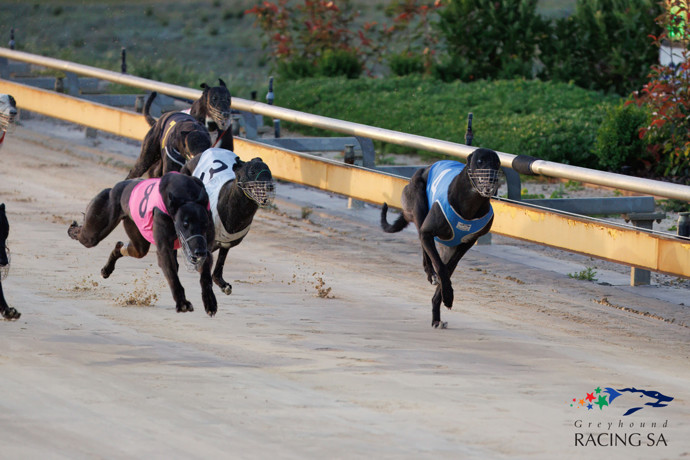 Tracie Price Enjoys a Sunday Afternoon Treble