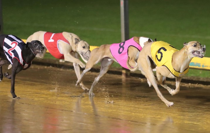 Training doubles highlight Gawler action