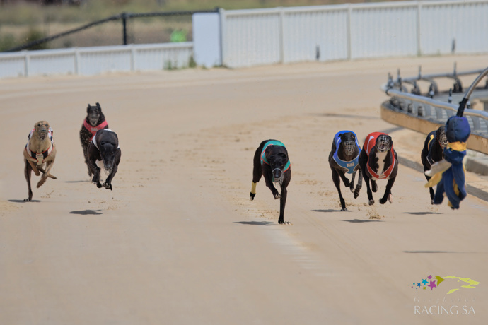 Young guns sizzle at The Bridge