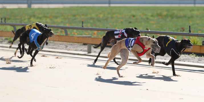 Welsh lands a terrific treble at The Bridge