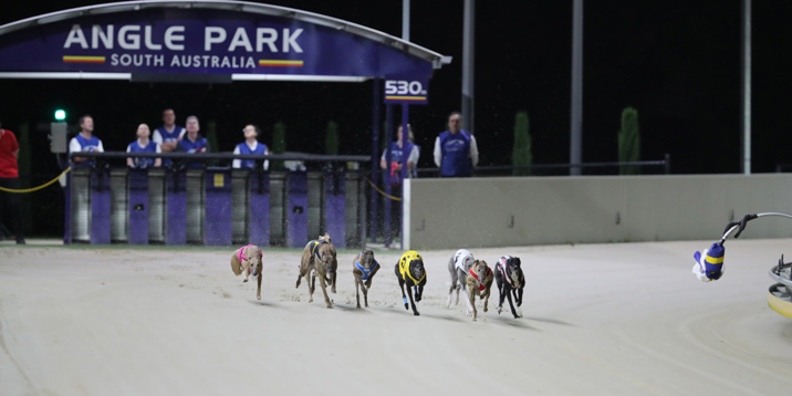 Young stars on show in Classic Prelude Heats
