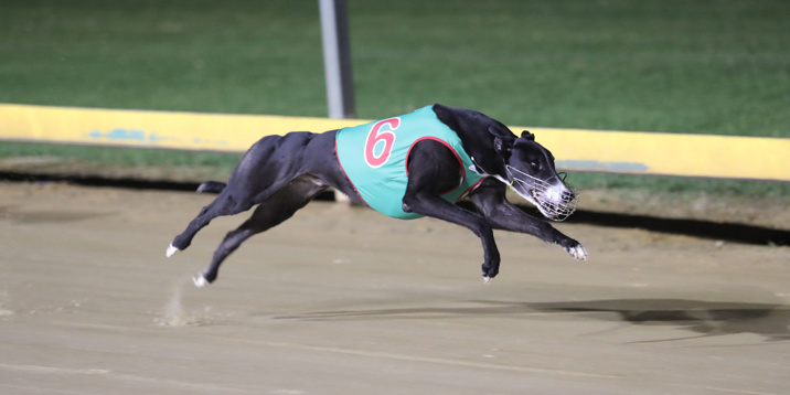 Yvonne Maxwell Enjoys A Fabulous Wednesday At Gawler