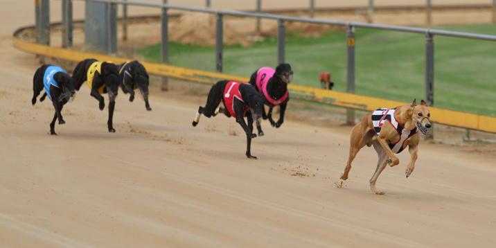 Yvonne scores three at Gawler